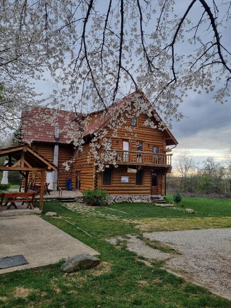 Villa Valea Vistisoarei Vistisoara Exterior foto